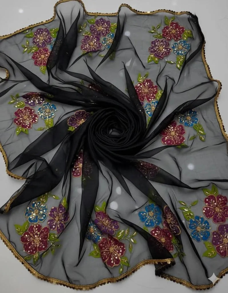 Black Organza 2-Piece Suit for Eid & Weddings